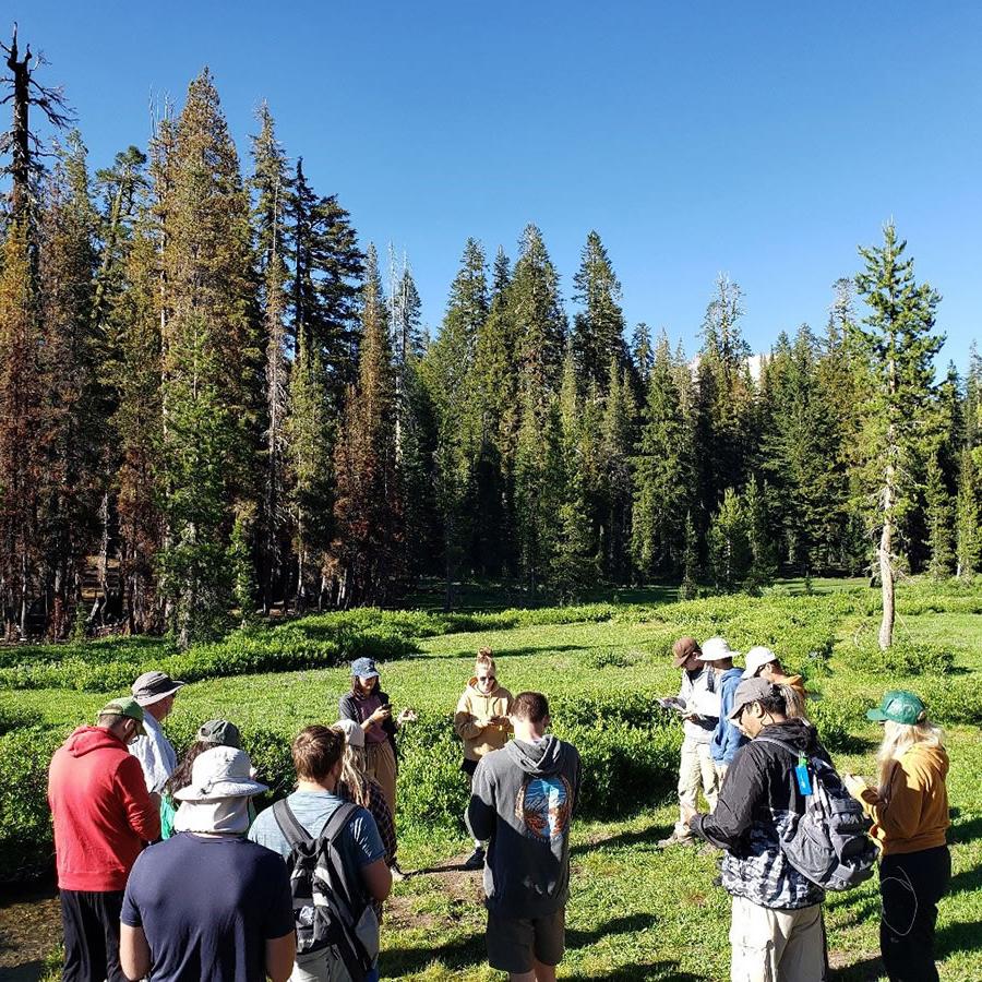 在整个实地考察中, 学生们就他们所参观的国家公园的地质情况作了报告. 在这张照片中, 学生谢尔比·诺曼和凯特·基尔帕特里克讨论加州拉森火山国家公园的地质情况.
